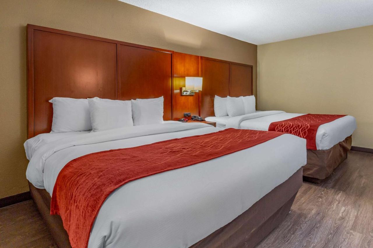 Comfort Inn Fort Mill Amusement Park At Carowinds Blvd מראה חיצוני תמונה